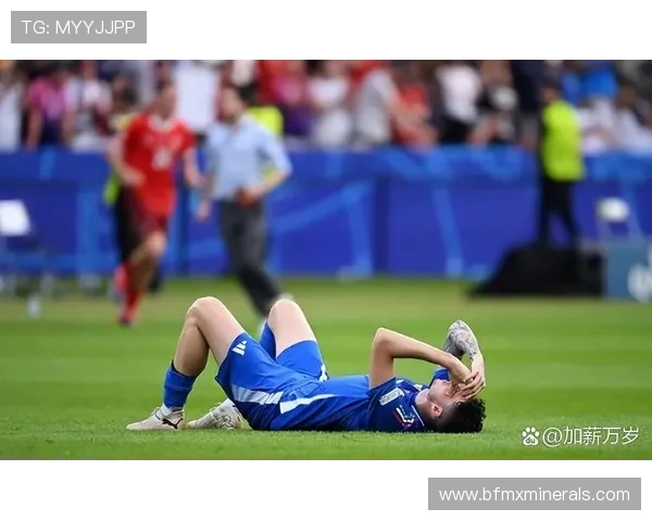 乌拉圭与法国比赛裁判表现引发争议球迷热议裁判判罚公正性