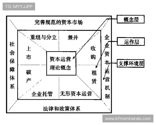 重庆足球队的运营模式与发展前景深度解析