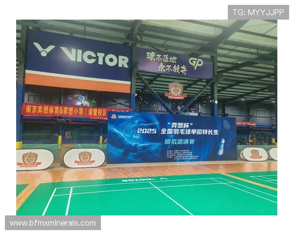 南京羽毛球队中路突破的成功与不足分析及未来发展建议